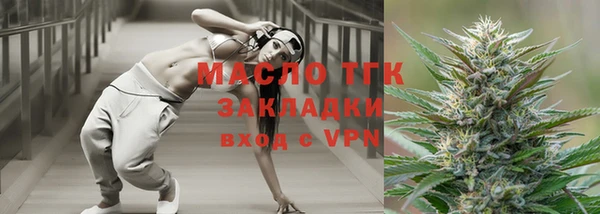 дживик Няндома