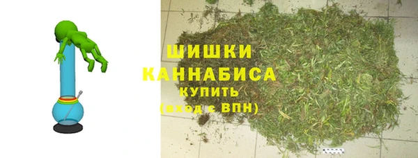 дживик Няндома