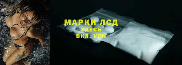 дживик Няндома