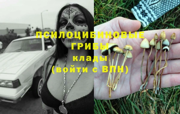 дживик Няндома