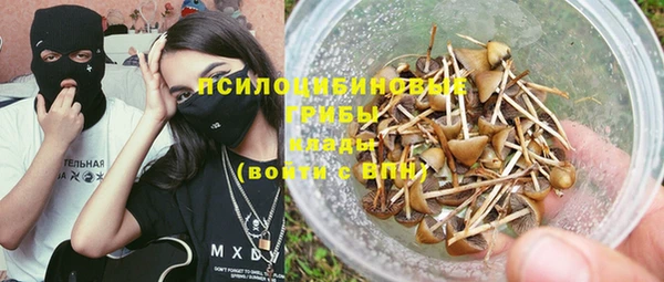 гидра Нягань