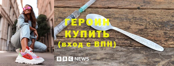 дживик Няндома