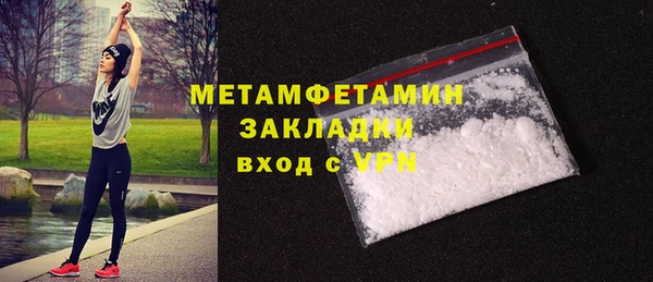 дживик Няндома