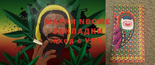 дживик Няндома