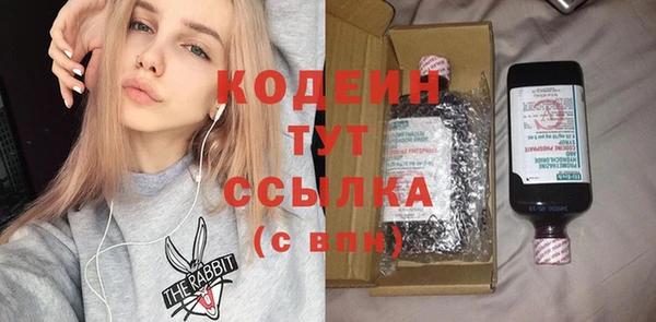 дживик Няндома