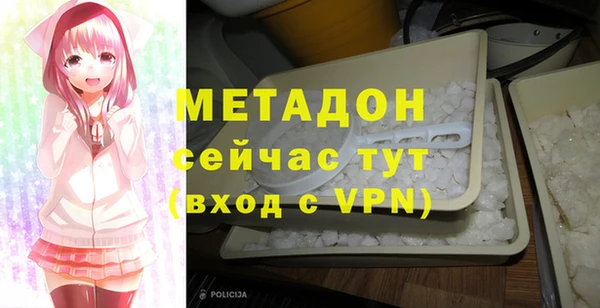 дживик Няндома