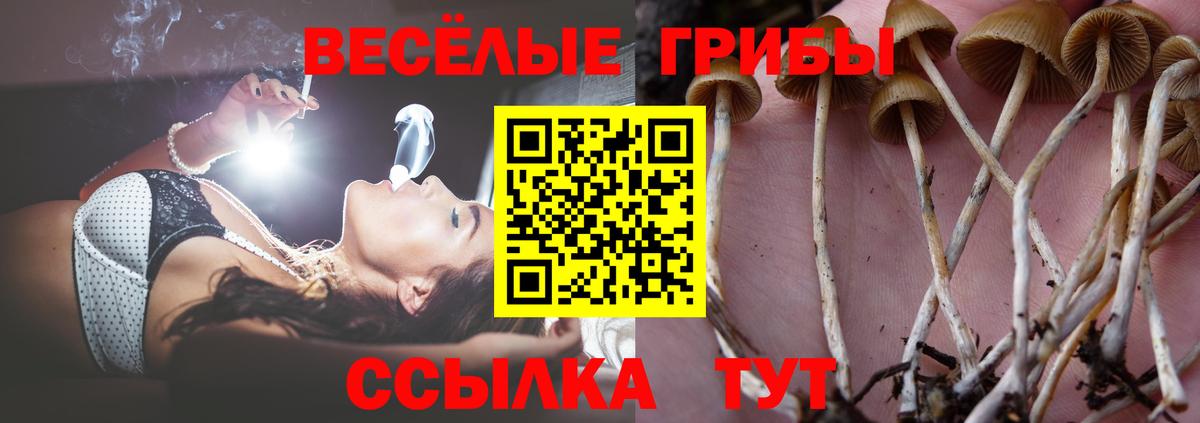Псилоцибиновые грибы Cubensis Советский
